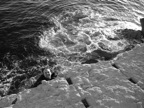 DSC03996