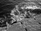 DSC03997