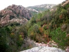 automne