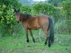 DSCN1404