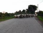 DSCN1406