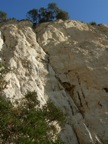 DSCN2277